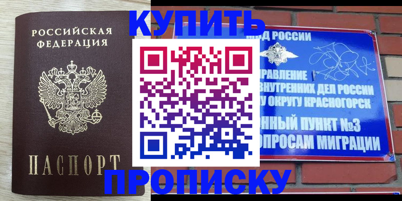 прописка гарантия в Камбарке